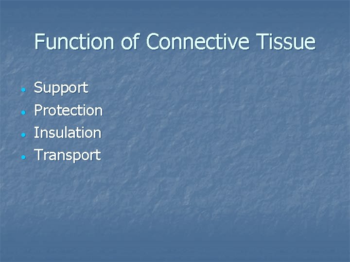 Function of Connective Tissue Support Protection Insulation Transport 