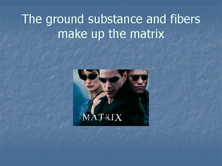 The ground substance and fibers make up the matrix 