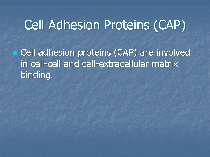 Cell Adhesion Proteins (CAP) n Cell adhesion proteins (CAP) are involved in cell-cell and