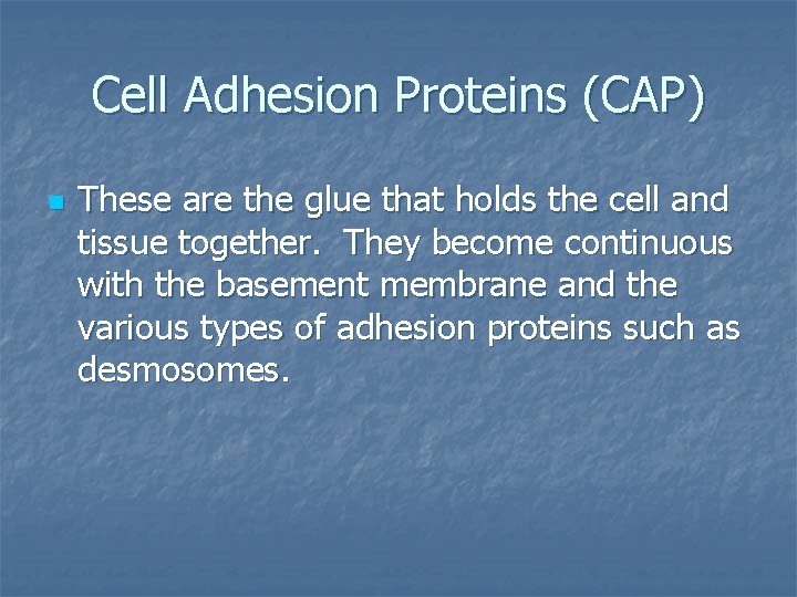 Cell Adhesion Proteins (CAP) n These are the glue that holds the cell and