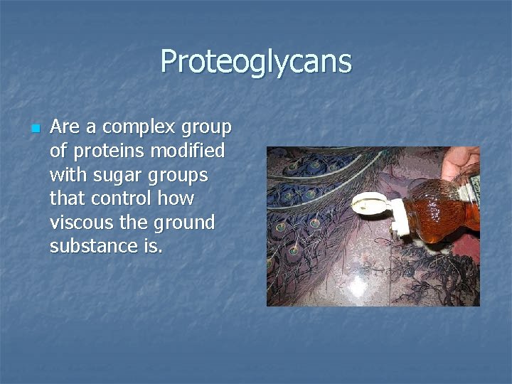 Proteoglycans n Are a complex group of proteins modified with sugar groups that control