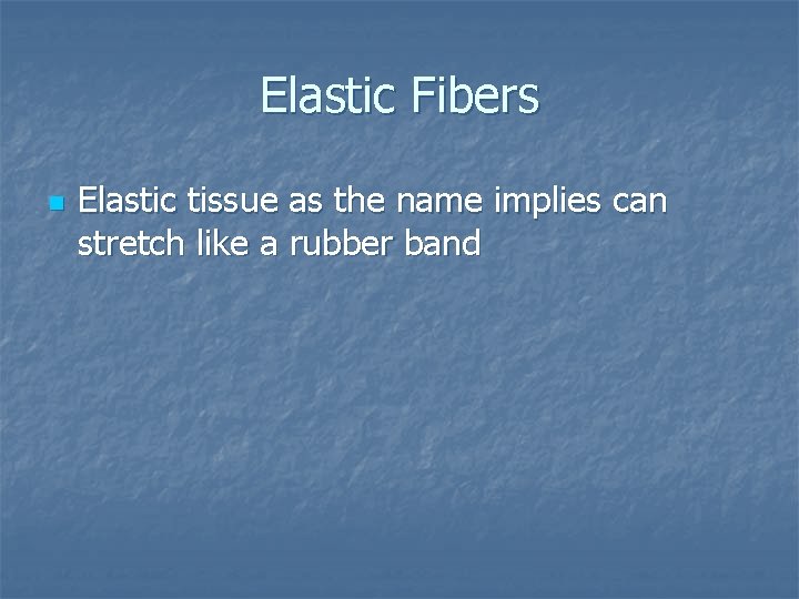 Elastic Fibers n Elastic tissue as the name implies can stretch like a rubber