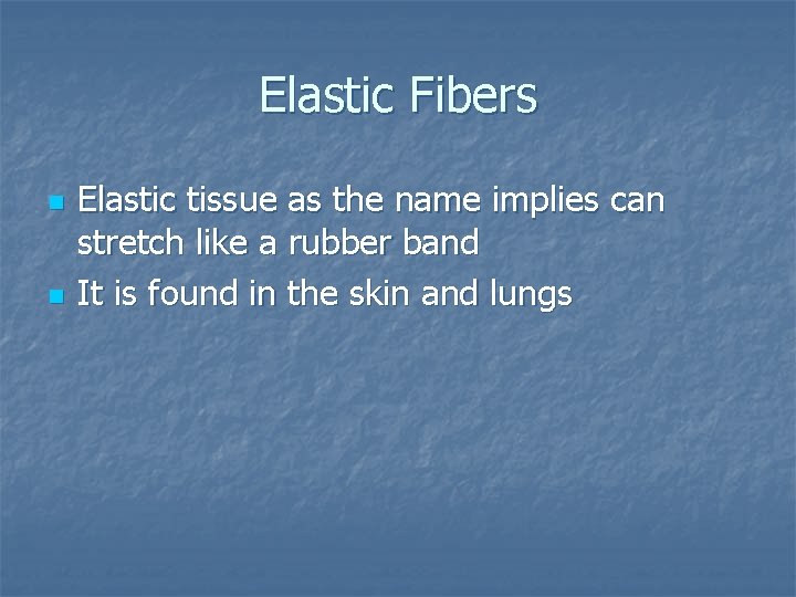 Elastic Fibers n n Elastic tissue as the name implies can stretch like a
