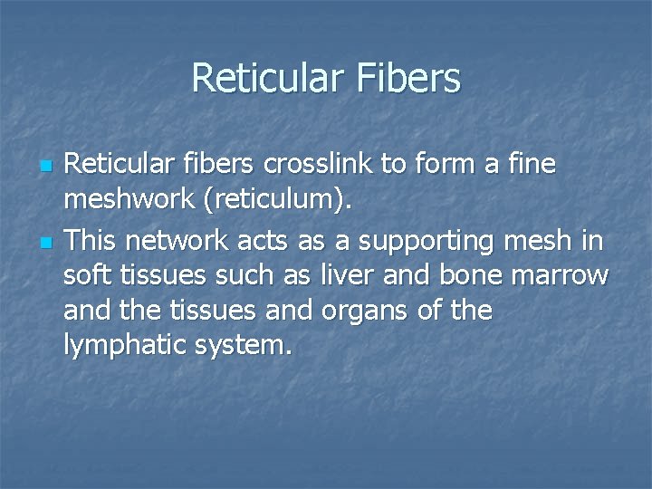 Reticular Fibers n n Reticular fibers crosslink to form a fine meshwork (reticulum). This