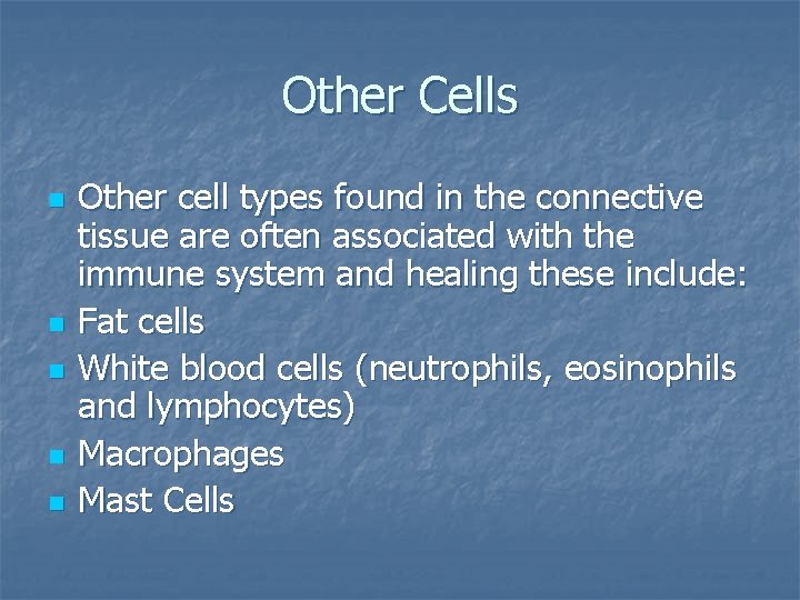 Other Cells n n n Other cell types found in the connective tissue are