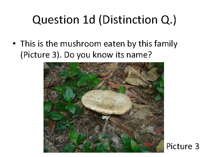 Question 1 d (Distinction Q. ) • This is the mushroom eaten by this