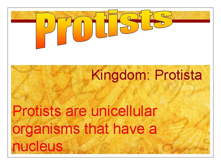 Kingdom: Protista Protists are unicellular organisms that have a nucleus. 