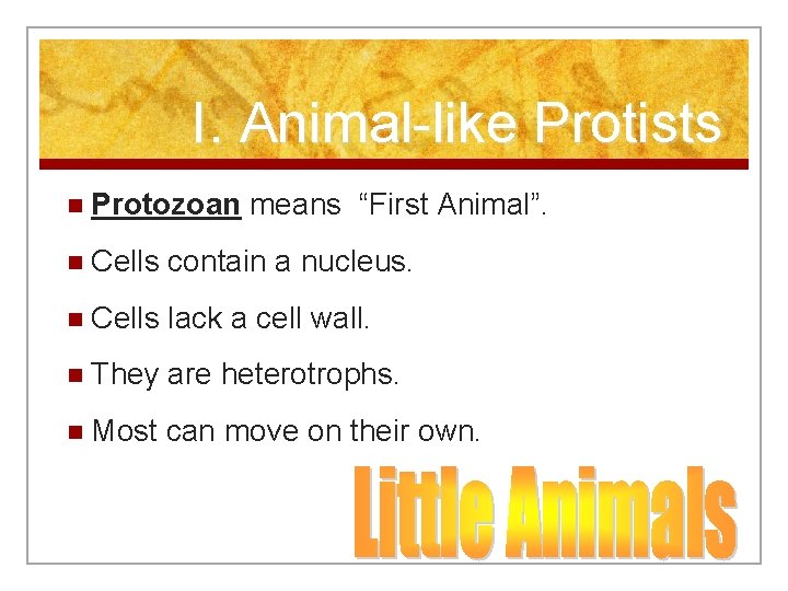I. Animal-like Protists n Protozoan means “First Animal”. n Cells contain a nucleus. n