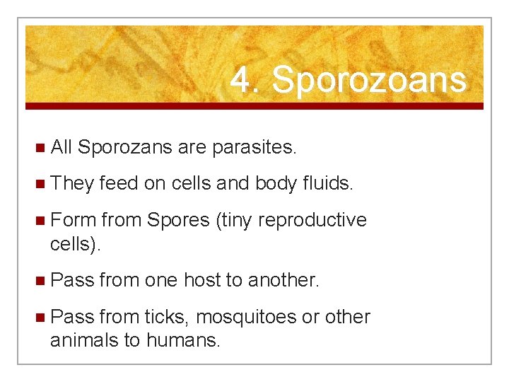 4. Sporozoans n All Sporozans are parasites. n They feed on cells and body