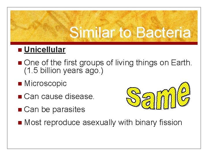 Similar to Bacteria n Unicellular n One of the first groups of living things