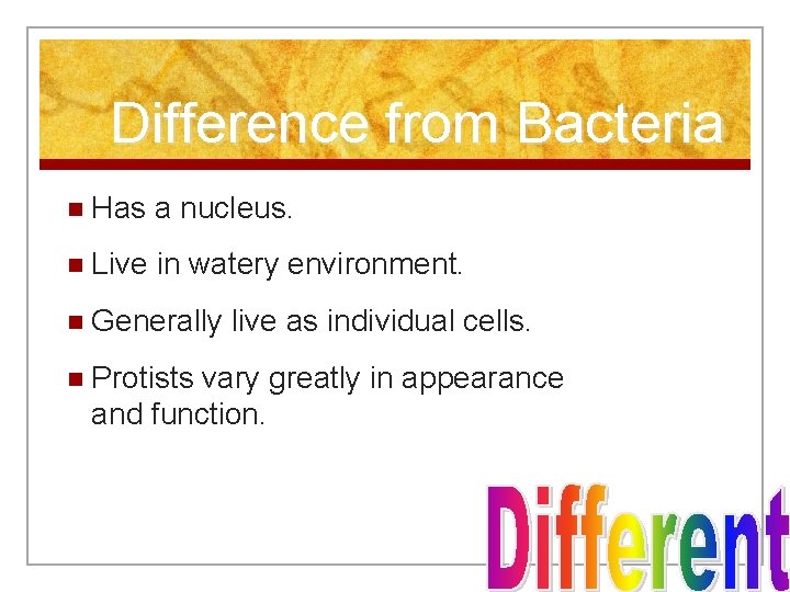 Difference from Bacteria n Has a nucleus. n Live in watery environment. n Generally