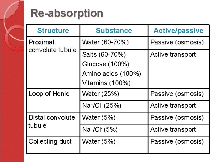 Re-absorption Structure Substance Active/passive Proximal Water (60 -70%) convolute tubule Salts (60 -70%) Glucose