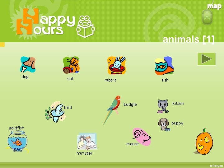 map animals [1] dog cat rabbit fish budgie bird kitten puppy goldfish mouse hamster