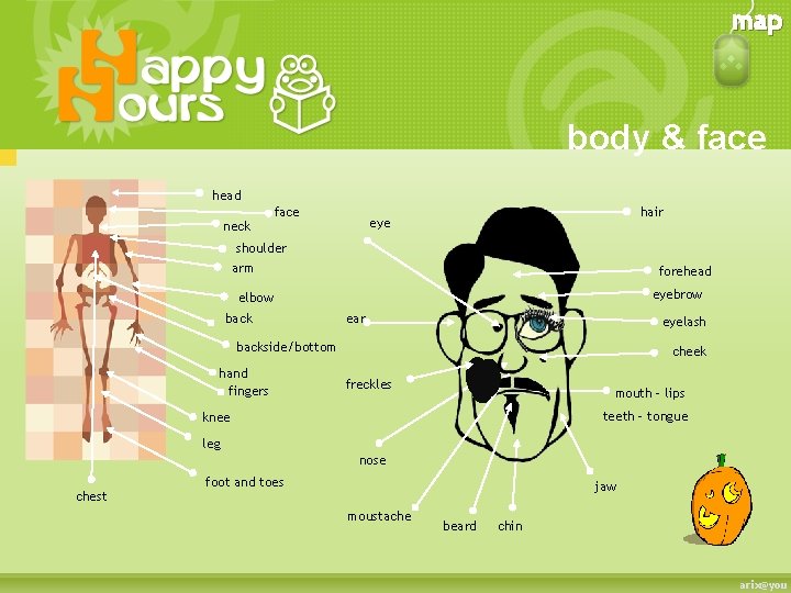 map body & face head neck face hair eye shoulder arm forehead eyebrow elbow