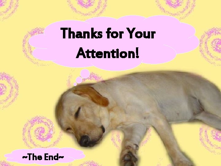 Thanks for Your Attention! ~The End~ 