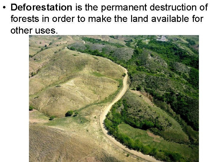  • Deforestation is the permanent destruction of forests in order to make the