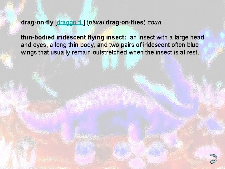 drag·on·fly [drággn fl ] (plural drag·on·flies) noun thin-bodied iridescent flying insect: an insect with