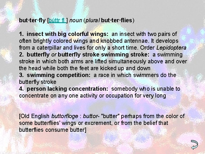 but·ter·fly [búttr fl ] noun (plural but·ter·flies) 1. insect with big colorful wings: an