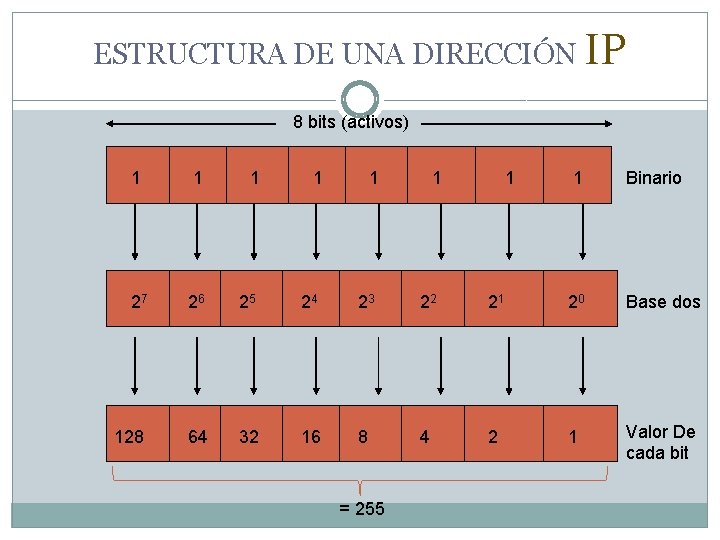 ESTRUCTURA DE UNA DIRECCIÓN IP 8 bits (activos) 1 1 1 27 26 25 ESTRUCTURA DE UNA DIRECCIÓN IP 8 bits (activos) 1 1 1 27 26 25