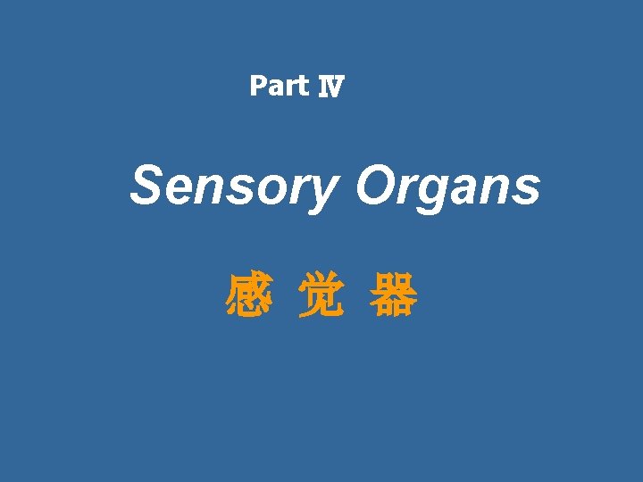 Part Ⅳ Sensory Organs 感 觉 器 