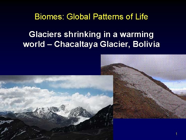 Biomes: Global Patterns of Life Glaciers shrinking in a warming world – Chacaltaya Glacier,