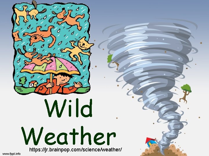 Wild Weather https: //jr. brainpop. com/science/weather/ 