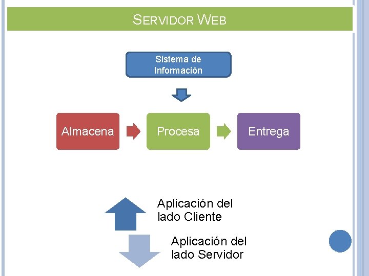 SERVIDOR WEB Sistema de Información Almacena Procesa Aplicación del lado Cliente Aplicación del lado