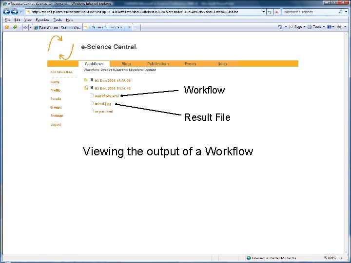 Workflow Result File Viewing the output of a Workflow 