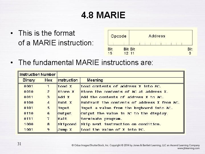 4. 8 MARIE • This is the format of a MARIE instruction: • The