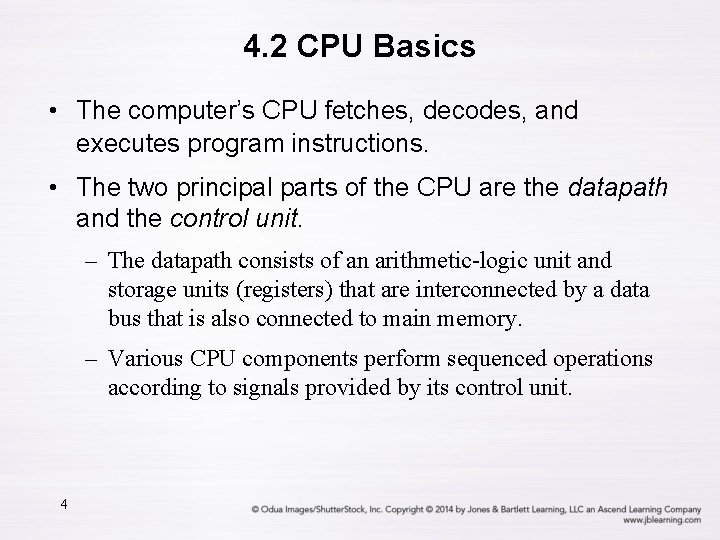 4. 2 CPU Basics • The computer’s CPU fetches, decodes, and executes program instructions.