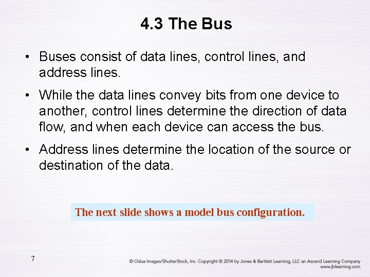 4. 3 The Bus • Buses consist of data lines, control lines, and address