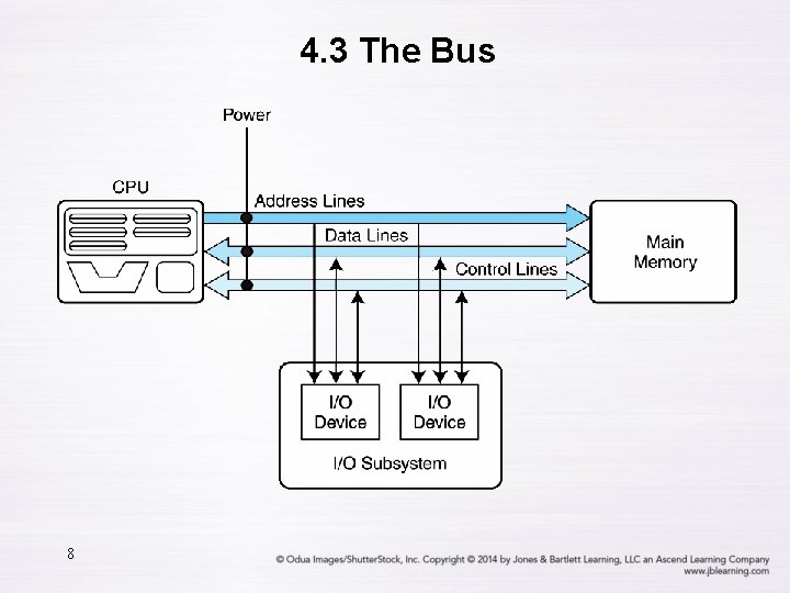 4. 3 The Bus 8 