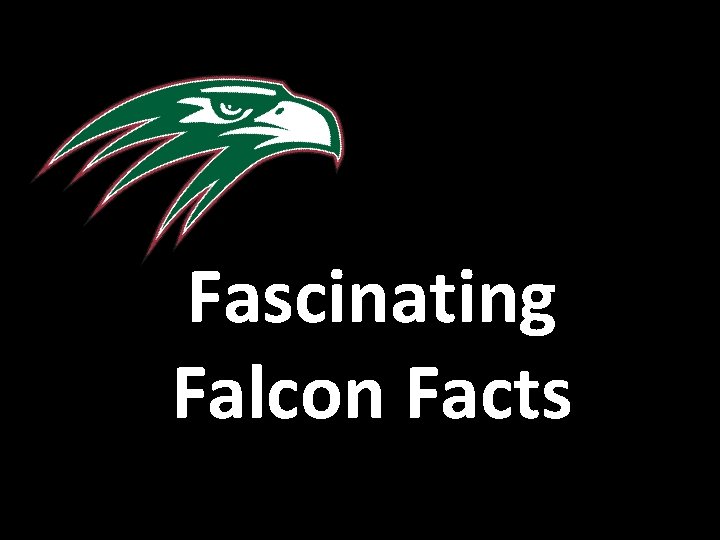 Fascinating Falcon Facts 