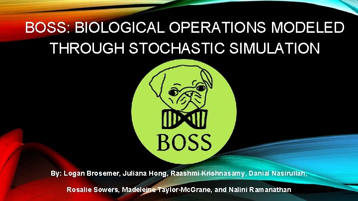 BOSS: BIOLOGICAL OPERATIONS MODELED THROUGH STOCHASTIC SIMULATION By: Logan Brosemer, Juliana Hong, Raashmi Krishnasamy,