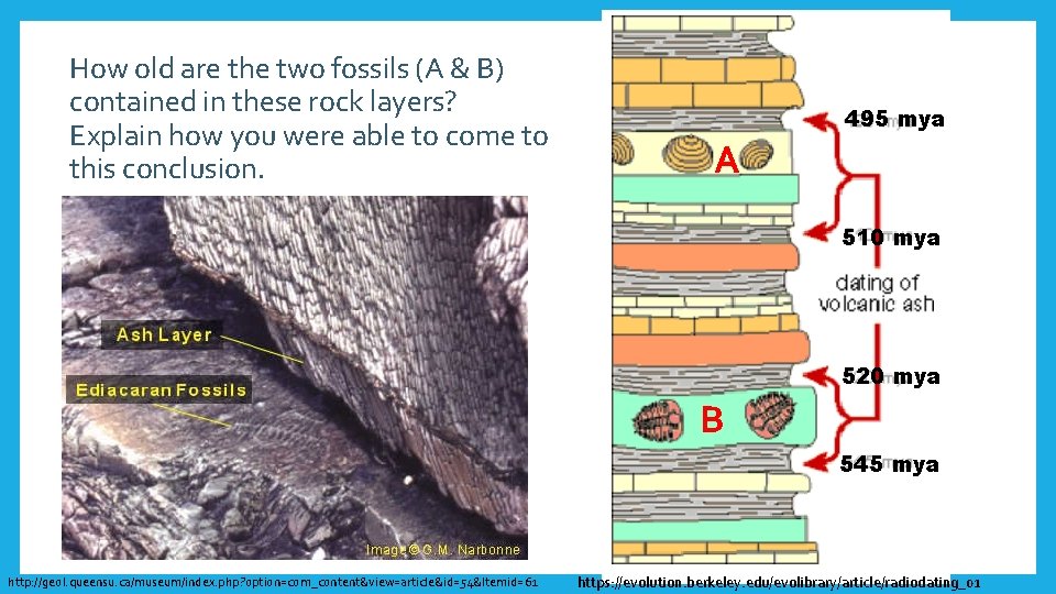 How old are the two fossils (A & B) contained in these rock layers?