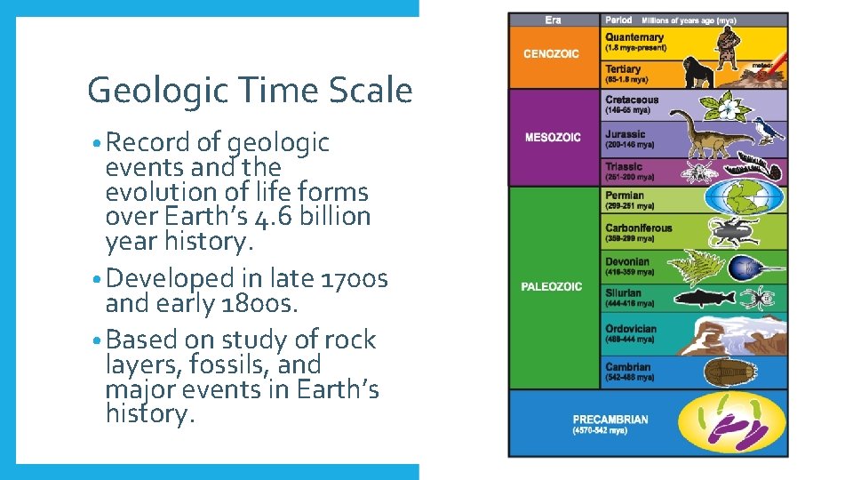 Geologic Time Scale • Record of geologic events and the evolution of life forms