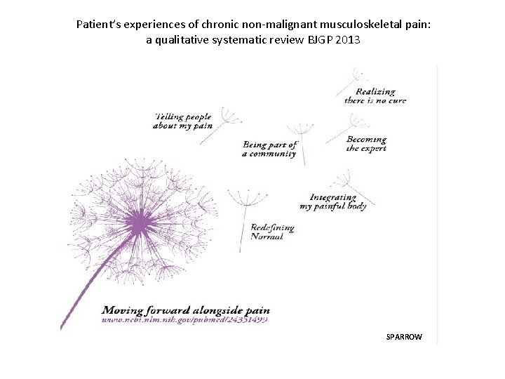 Patient’s experiences of chronic non-malignant musculoskeletal pain: a qualitative systematic review BJGP 2013 SPARROW