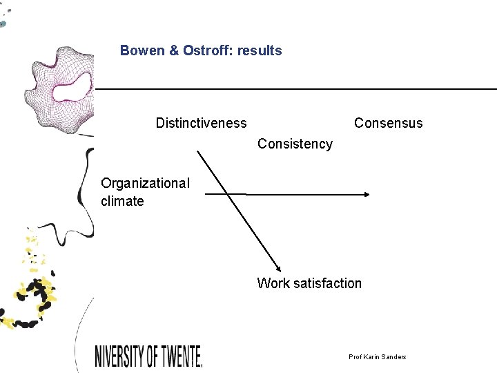 Bowen & Ostroff: results Distinctiveness Consensus Consistency Organizational climate Work satisfaction Karin Sanders &