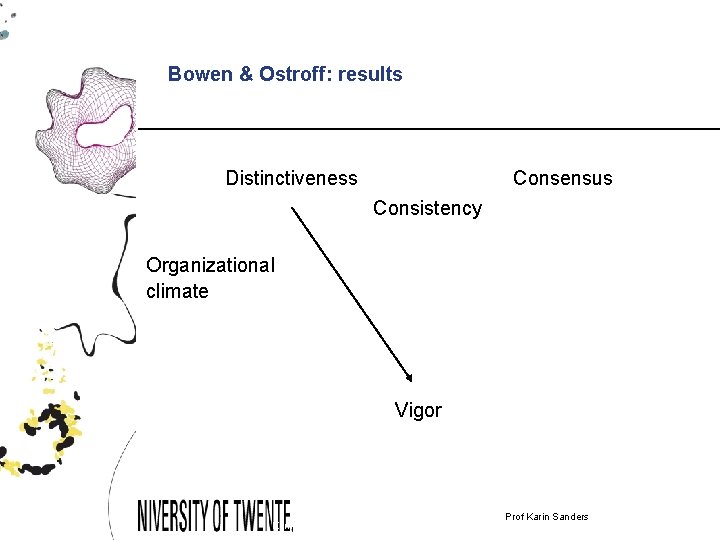 Bowen & Ostroff: results Distinctiveness Consensus Consistency Organizational climate Vigor Karin Sanders & Xiaobei