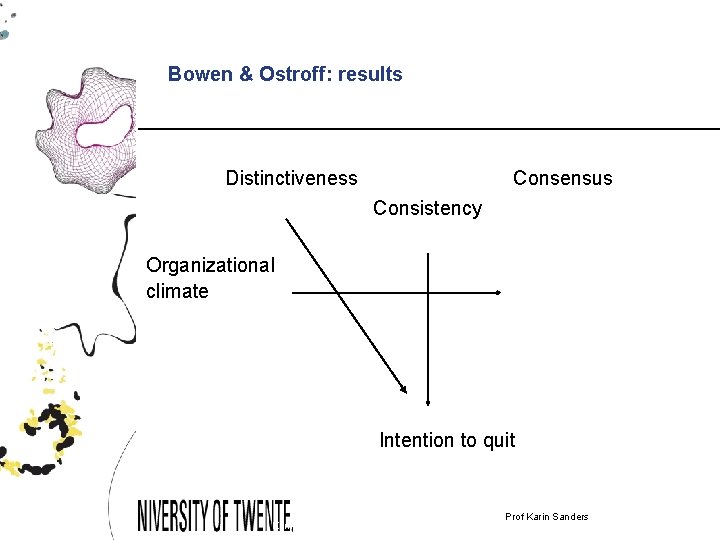 Bowen & Ostroff: results Distinctiveness Consensus Consistency Organizational climate Intention to quit Karin Sanders