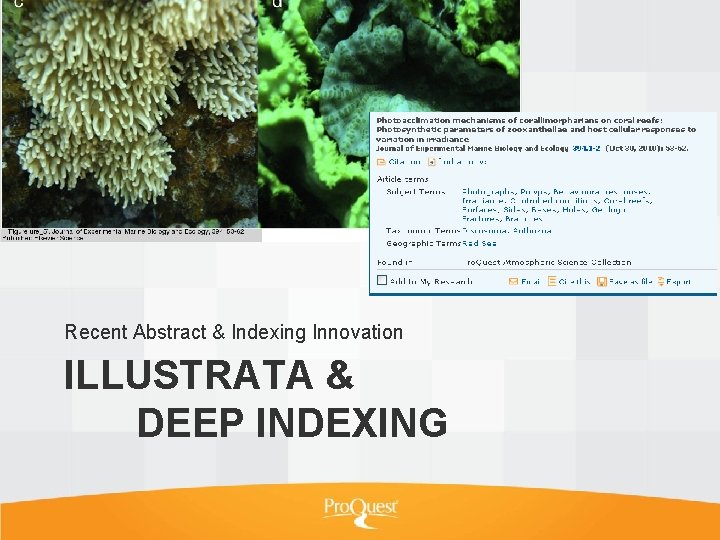 Recent Abstract & Indexing Innovation ILLUSTRATA & DEEP INDEXING 