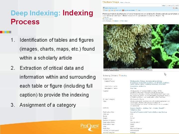 Deep Indexing: Indexing Process 1. Identification of tables and figures (images, charts, maps, etc.