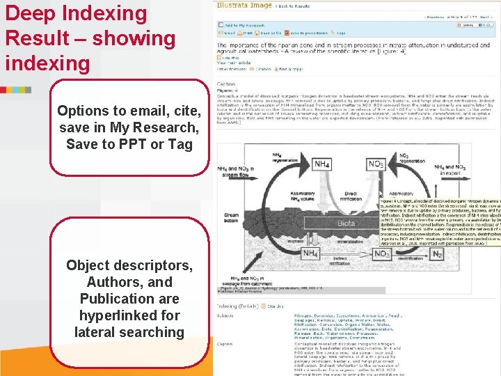 Deep Indexing Result – showing indexing Options to email, cite, save in My Research,