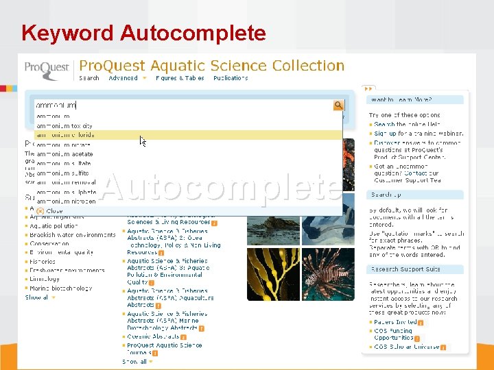 Keyword Autocomplete 
