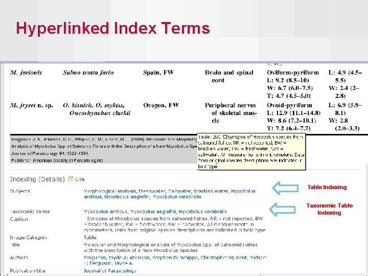 Hyperlinked Index Terms Table Indexing Taxonomic Table Indexing 