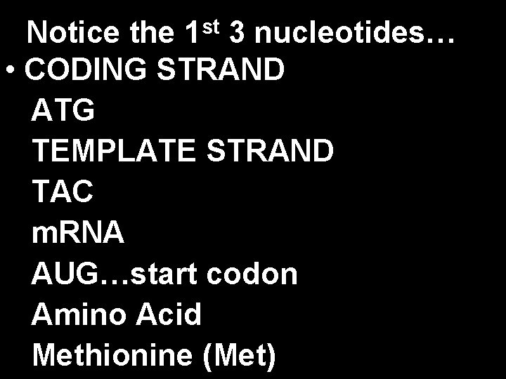 Notice the 1 st 3 nucleotides… • CODING STRAND ATG TEMPLATE STRAND TAC m.