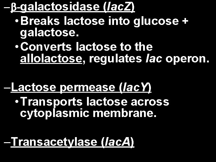 – -galactosidase (lac. Z) • Breaks lactose into glucose + galactose. • Converts lactose
