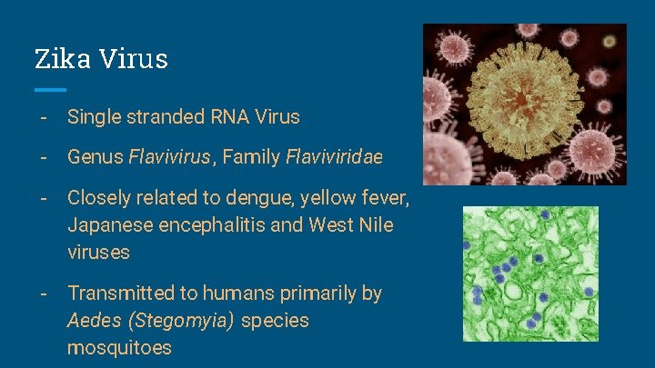 Zika Virus - Single stranded RNA Virus - Genus Flavivirus, Family Flaviviridae - Closely