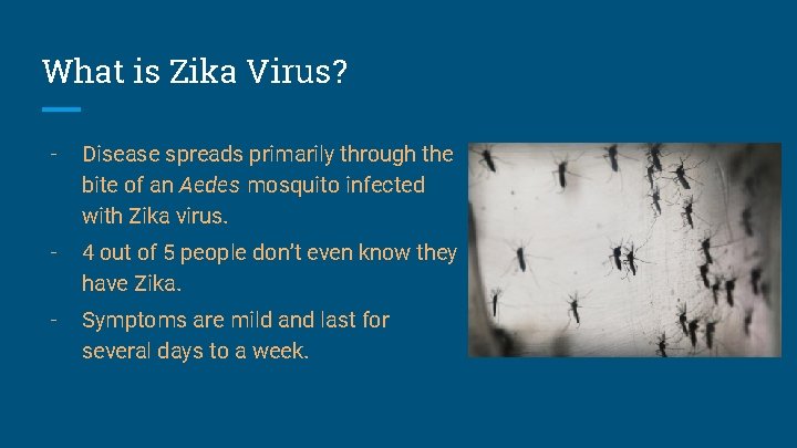 What is Zika Virus? - Disease spreads primarily through the bite of an Aedes