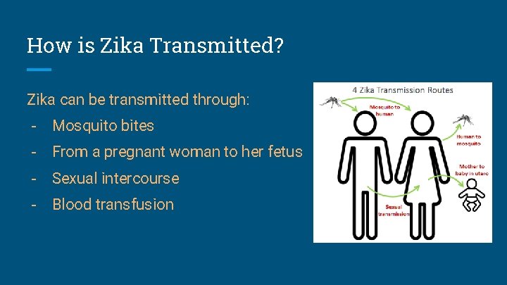 How is Zika Transmitted? Zika can be transmitted through: - Mosquito bites - From